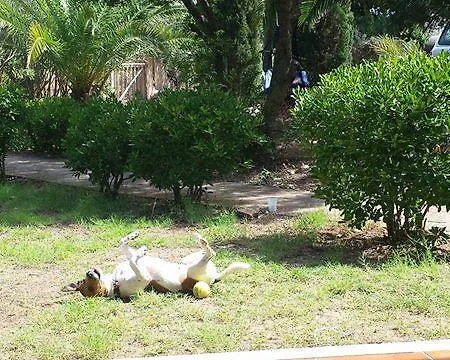 Dom wakacyjny Villetta Sole&relax *